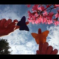 Of Bluebells and Butterflies